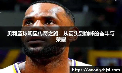 vwin德赢AC米兰合作